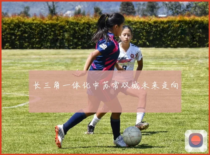 长三角一体化中苏常双城未来走向