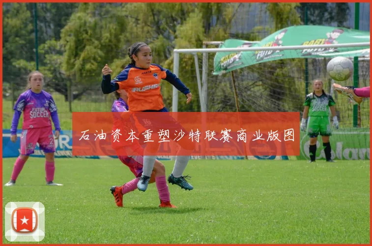 石油资本重塑沙特联赛商业版图